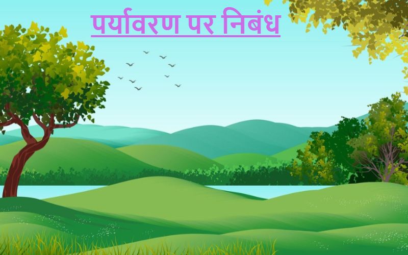 Essay on Environment in Hindi