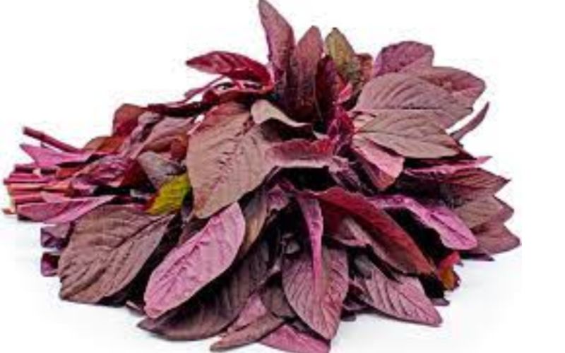 Amaranth Leaves