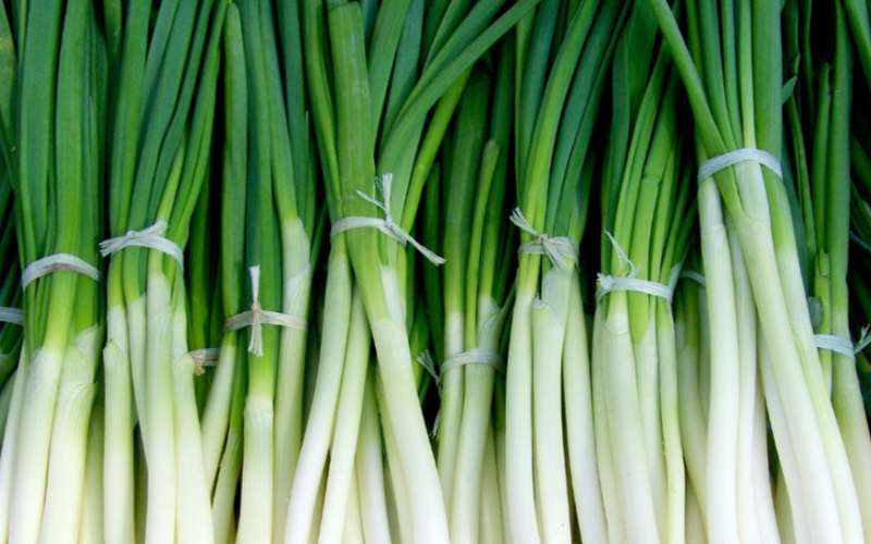 Green onion