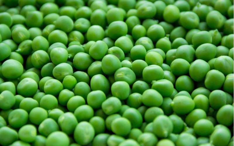 Pea