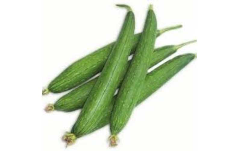 Sponge Gourd