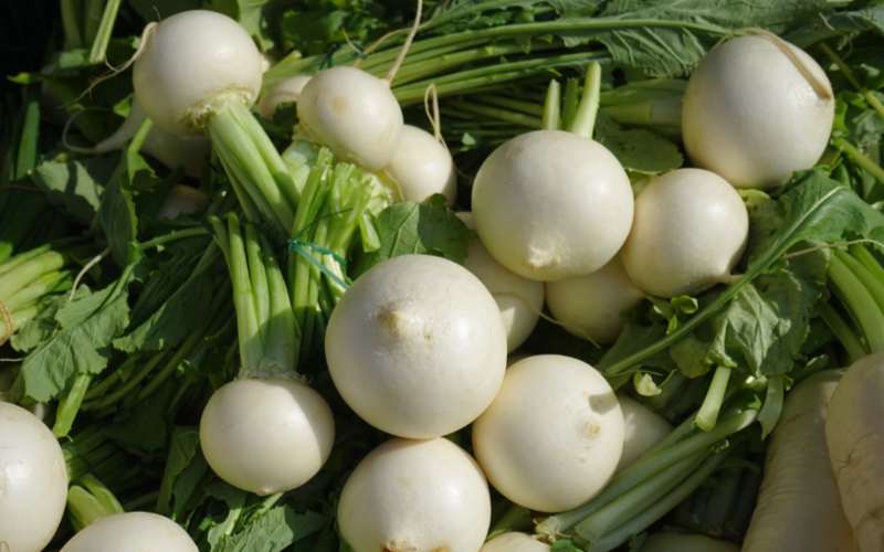 Turnips